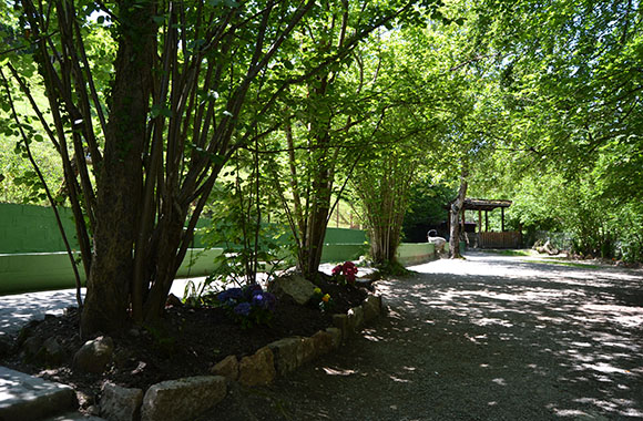Sidrería Asturias